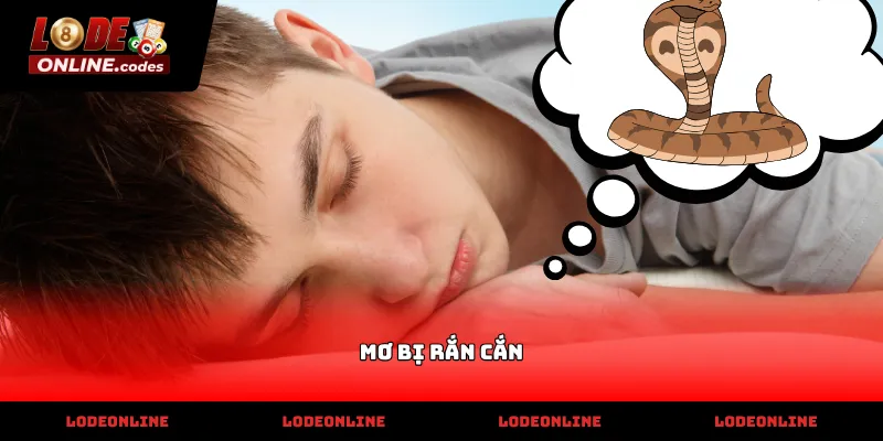 Phân tích điềm báo tâm linh khi mơ bị rắn cắn thực tế