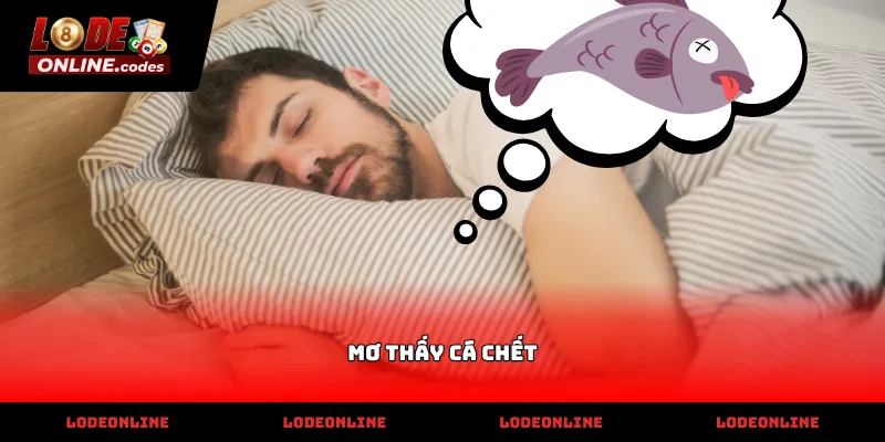 Giải mã giấc mơ thấy cá chết tìm số may mắn