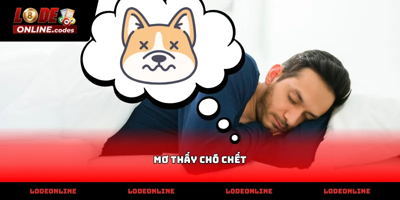 Giải mã các con số liên quan đến hiện tượng mơ thấy chó chết